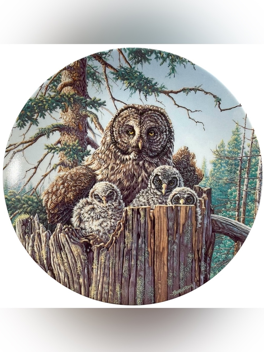 Vintage 1990s Forest Edge Great Gray Owls Collectors Plate Artist Jim Beaudoin